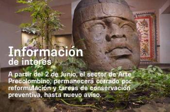 visitas grupos